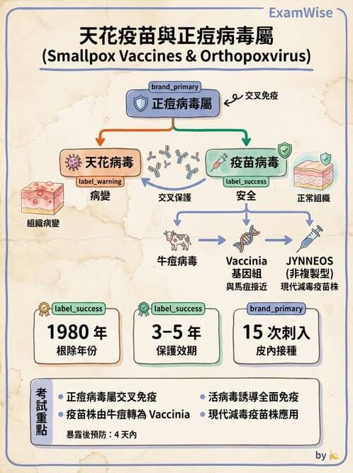 醫檢師 - 腺病毒與痘病毒 - AI 圖文解析預覽