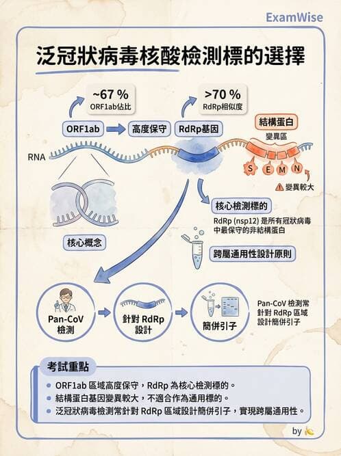醫檢師 - 冠狀病毒科 - AI 圖文解析預覽