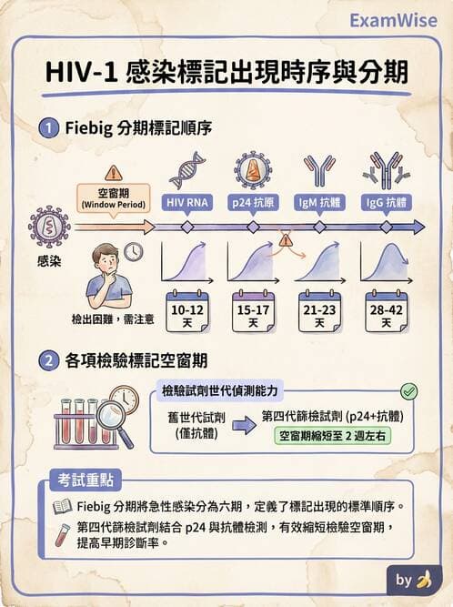 醫檢師 - 反轉錄病毒(HIV/HTLV) - AI 圖文解析預覽