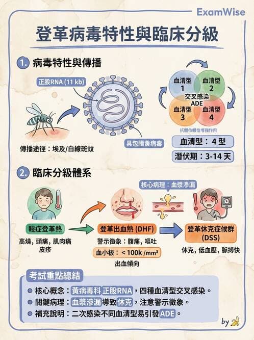 醫檢師 - 黃病毒科與蟲媒病毒 - AI 圖文解析預覽