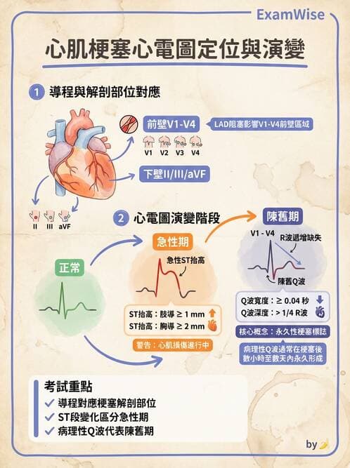 醫檢師 - 心肌病變與特殊心電圖 - AI 圖文解析預覽