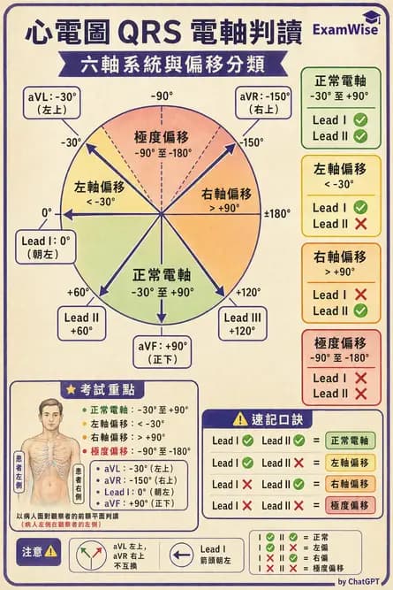 醫檢師 - 心電圖基礎與判讀 - AI 圖文解析預覽