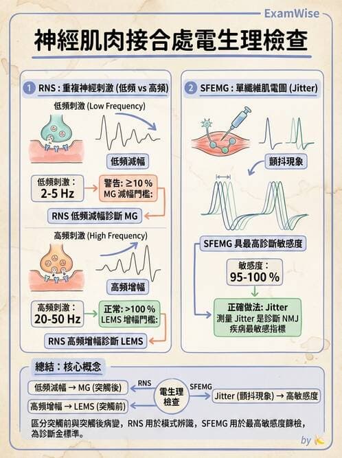 醫檢師 - 神經肌肉與睡眠檢查 - AI 圖文解析預覽