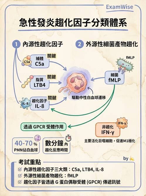 醫檢師 - 細胞傷害、發炎與修復 - AI 圖文解析預覽