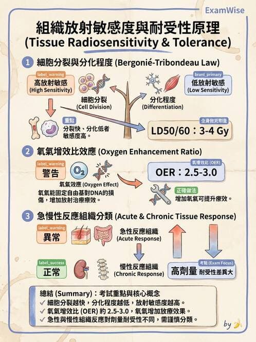 醫檢師 - 物理和化學傷害及營養疾病 - AI 圖文解析預覽