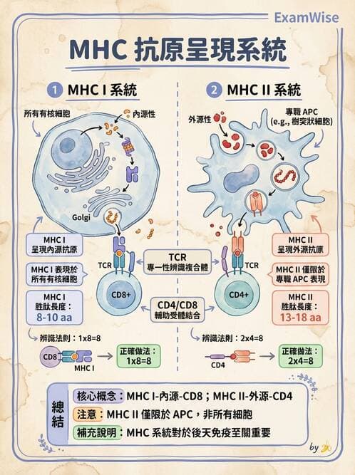 醫檢師 - 免疫疾病 - AI 圖文解析預覽