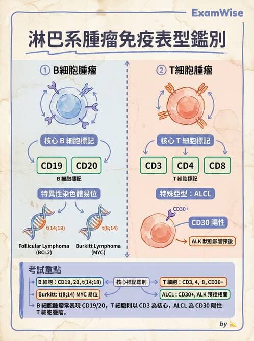 醫檢師 - 造血系統疾病 - AI 圖文解析預覽