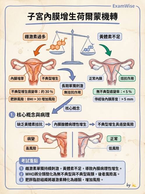 醫檢師 - 乳房及女性生殖疾病 - AI 圖文解析預覽
