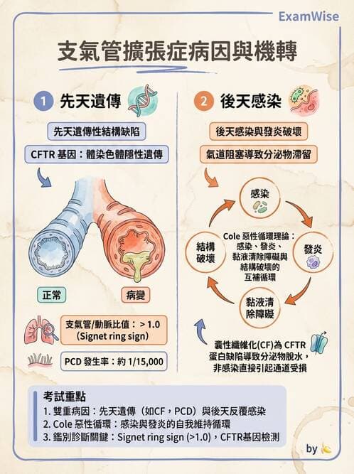 醫檢師 - 呼吸系統疾病 - AI 圖文解析預覽