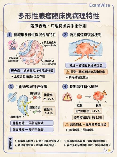 醫檢師 - 消化肝膽疾病 - AI 圖文解析預覽