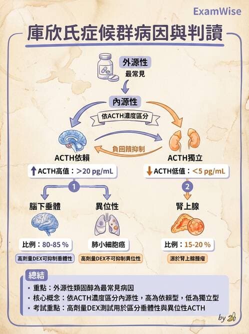 醫檢師 - 內分泌疾病 - AI 圖文解析預覽