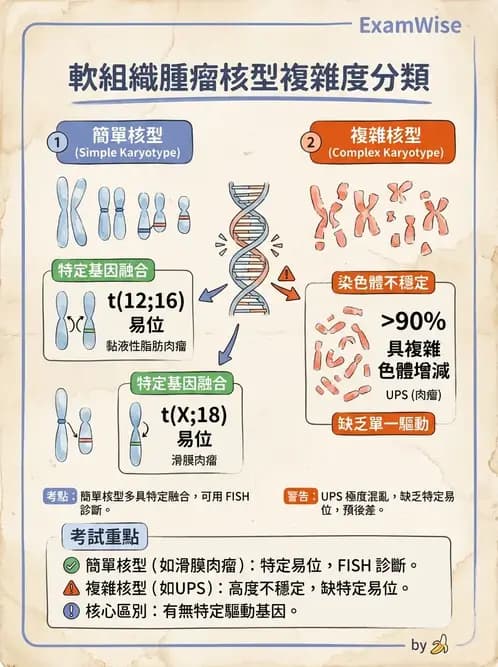 醫檢師 - 骨骼及軟組織疾病 - AI 圖文解析預覽