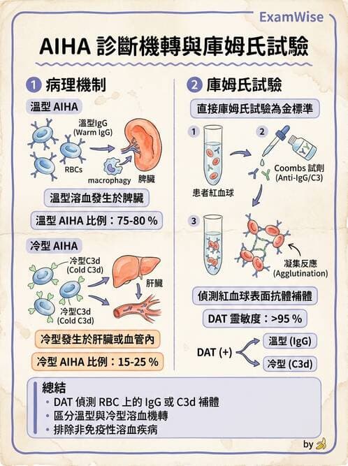 醫檢師 - 溶血性貧血與血色素病變 - AI 圖文解析預覽