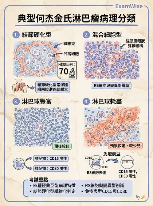 醫檢師 - 淋巴瘤、漿細胞疾病與白血球異常 - AI 圖文解析預覽