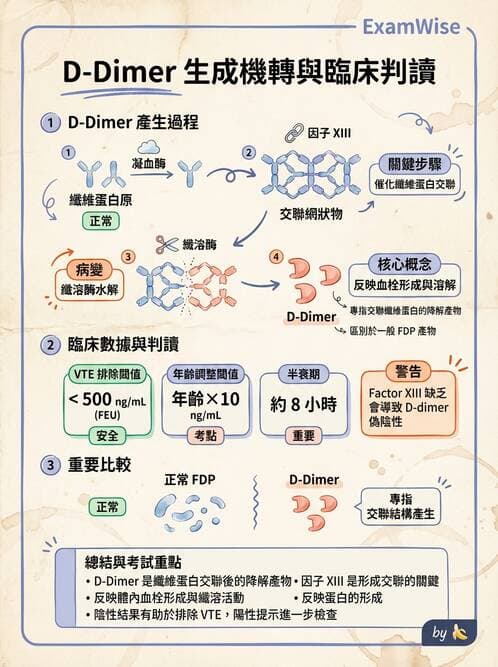 醫檢師 - 出血性疾病與檢驗 - AI 圖文解析預覽