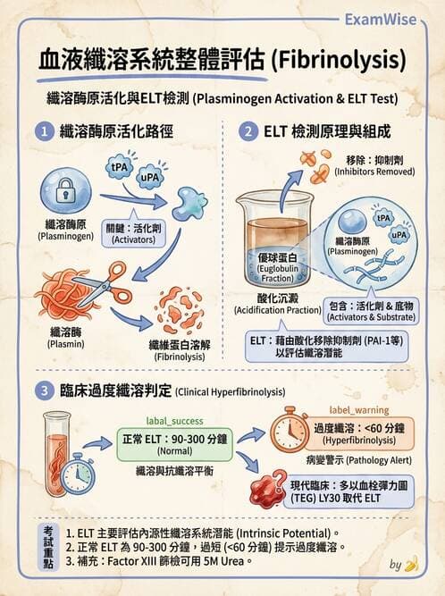 醫檢師 - 凝血因子與凝血檢驗 - AI 圖文解析預覽