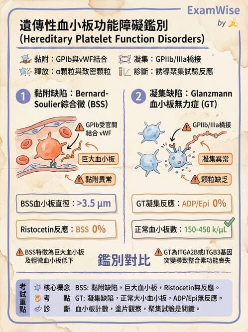 醫檢師 - 出血性疾病與檢驗 - AI 圖文解析預覽