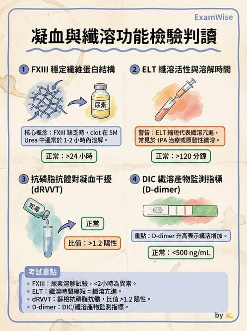 醫檢師 - 出血性疾病與檢驗 - AI 圖文解析預覽