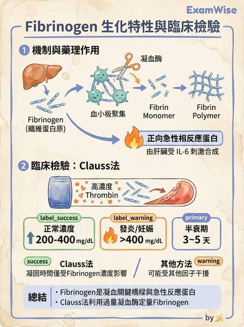 醫檢師 - 出血性疾病與檢驗 - AI 圖文解析預覽