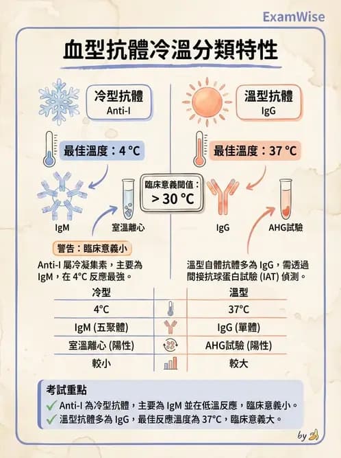 醫檢師 - 紅血球抗原與血型系統 - AI 圖文解析預覽