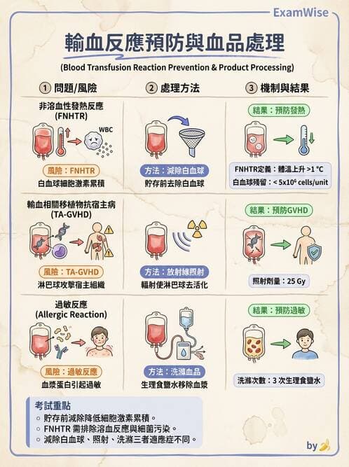 醫檢師 - 輸血反應與血庫品管 - AI 圖文解析預覽