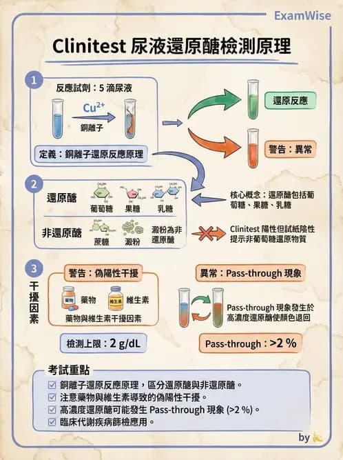 醫檢師 - 尿液化學檢驗 - AI 圖文解析預覽