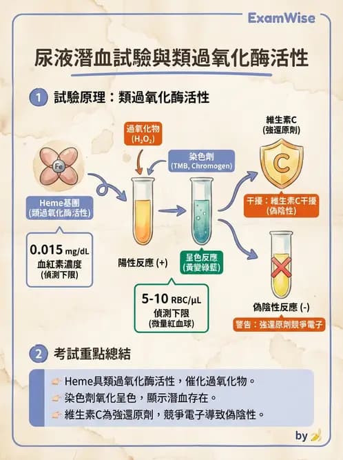 醫檢師 - 尿液化學檢驗 - AI 圖文解析預覽