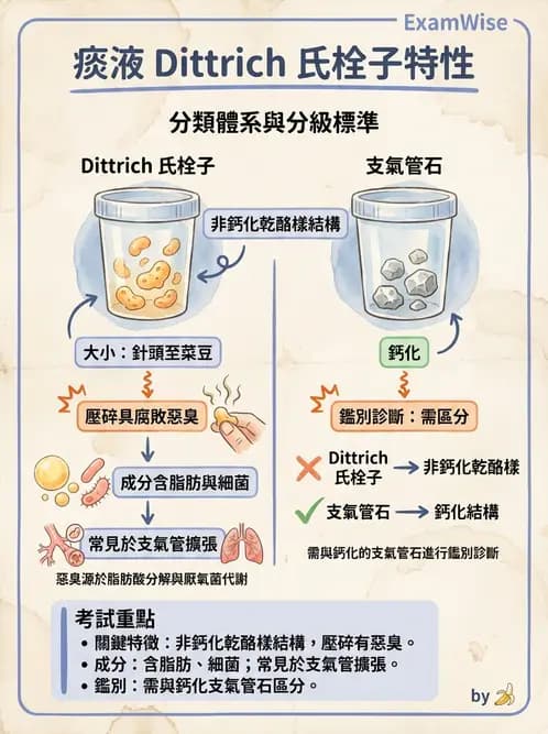 醫檢師 - 痰液一般鏡檢 - AI 圖文解析預覽