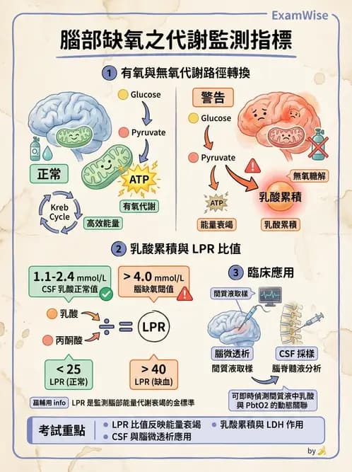 醫檢師 - 腦脊髓液檢查 - AI 圖文解析預覽