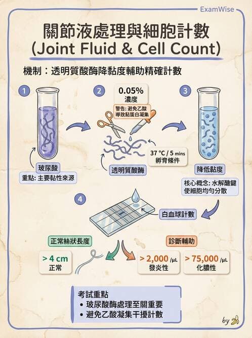 醫檢師 - 滑膜液檢查 - AI 圖文解析預覽