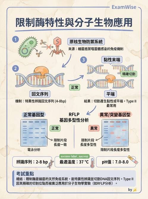 醫檢師 - 基礎分子生物學 - AI 圖文解析預覽