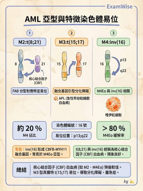 醫檢師 - 腫瘤疾病基因檢測 - AI 圖文解析預覽