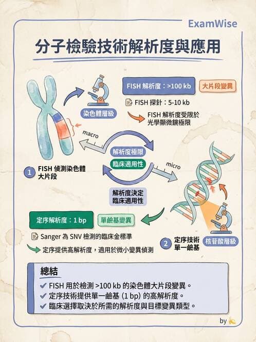 醫檢師 - 定序電泳與表觀分析 - AI 圖文解析預覽