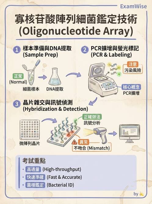 醫檢師 - 分子鑑定與應用技術 - AI 圖文解析預覽