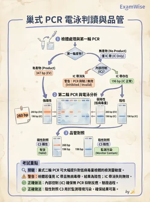醫檢師 - 分子檢驗品質管理 - AI 圖文解析預覽