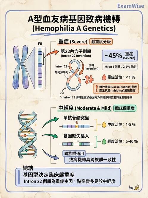 醫檢師 - 遺傳疾病基因檢測 - AI 圖文解析預覽