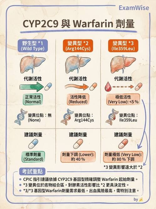 醫檢師 - 藥物相關基因檢測 - AI 圖文解析預覽