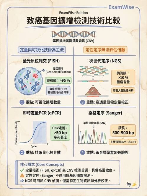 醫檢師 - 藥物相關基因檢測 - AI 圖文解析預覽