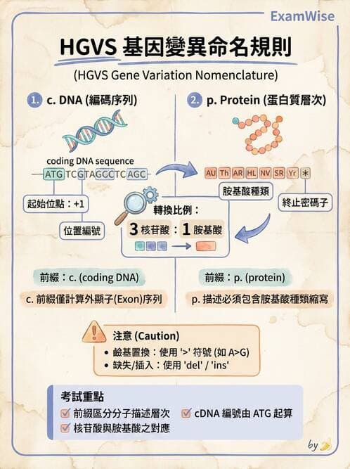 醫檢師 - 藥物相關基因檢測 - AI 圖文解析預覽