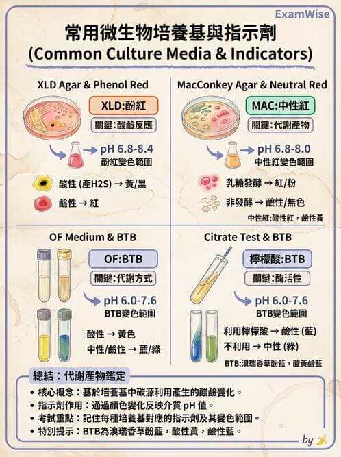 醫檢師 - 檢驗基礎技術 - AI 圖文解析預覽
