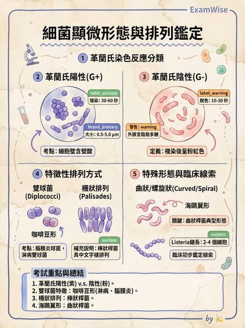 醫檢師 - 實驗室安全與微生物特性 - AI 圖文解析預覽