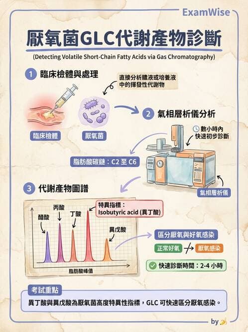 醫檢師 - 檢驗基礎技術 - AI 圖文解析預覽