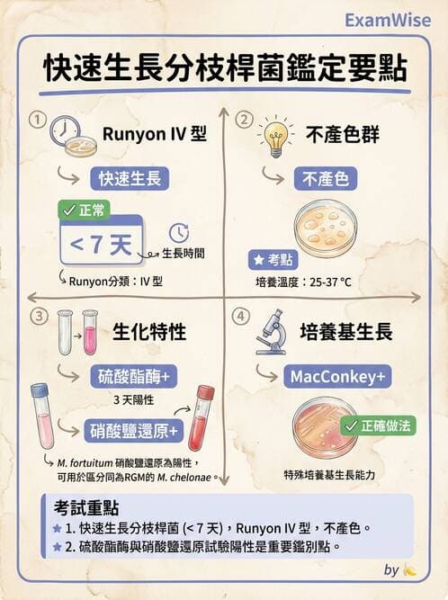 醫檢師 - 分枝桿菌 - AI 圖文解析預覽