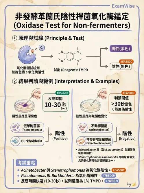 醫檢師 - 非發酵菌 - AI 圖文解析預覽