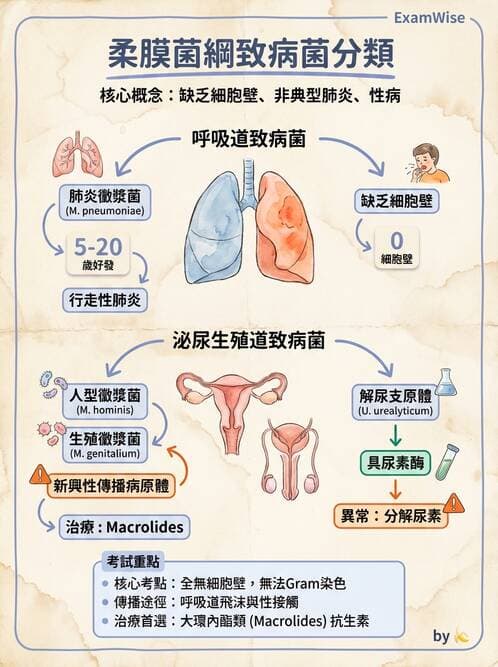 醫檢師 - 特殊病原體 - AI 圖文解析預覽