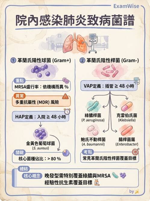 醫檢師 - 感染症與院內感染 - AI 圖文解析預覽