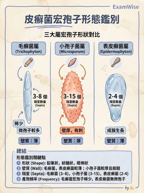 醫檢師 - 真菌診斷與治療 - AI 圖文解析預覽