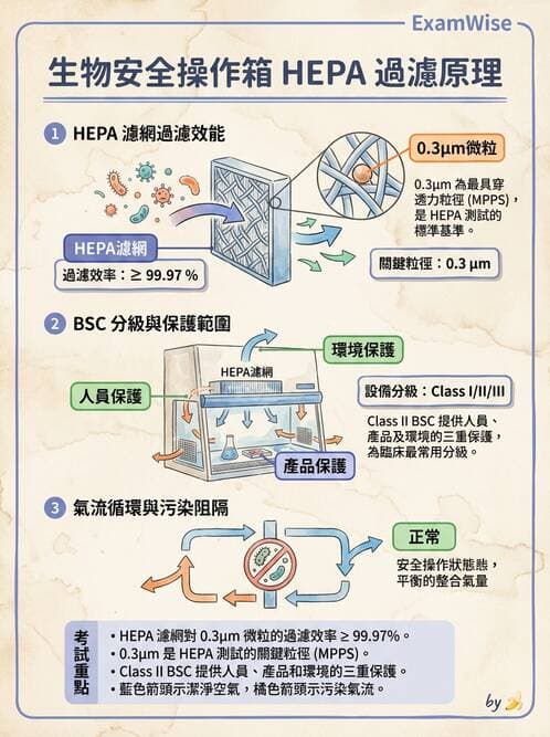 醫檢師 - 真菌診斷與治療 - AI 圖文解析預覽