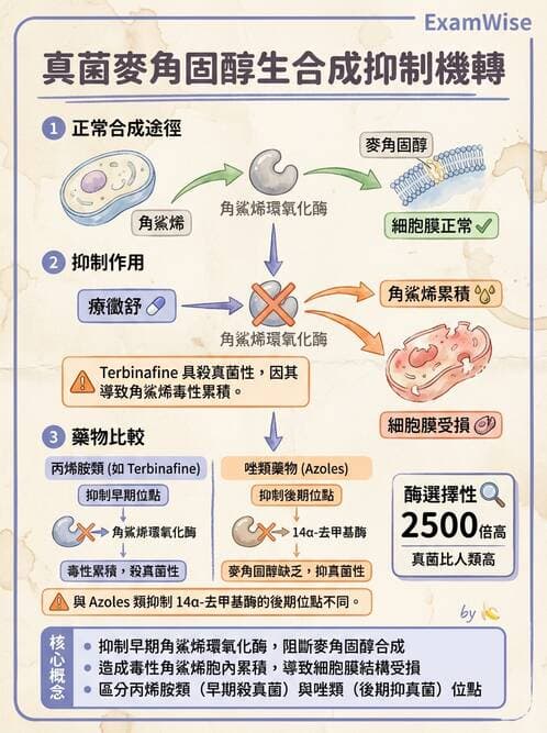 醫檢師 - 真菌診斷與治療 - AI 圖文解析預覽