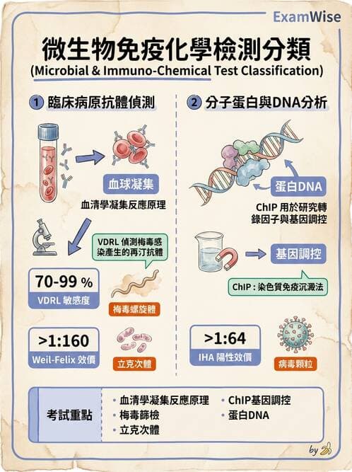 醫檢師 - 綜合性試題 - AI 圖文解析預覽